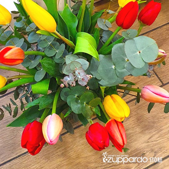 tulipani a scelta