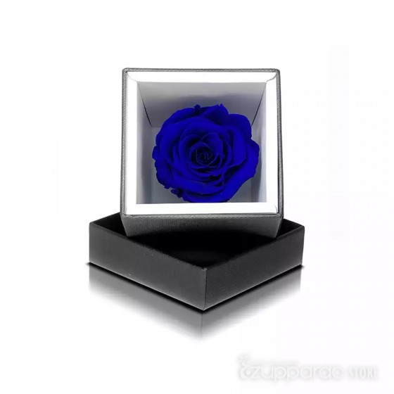 Rosa Stabilizzata Blu